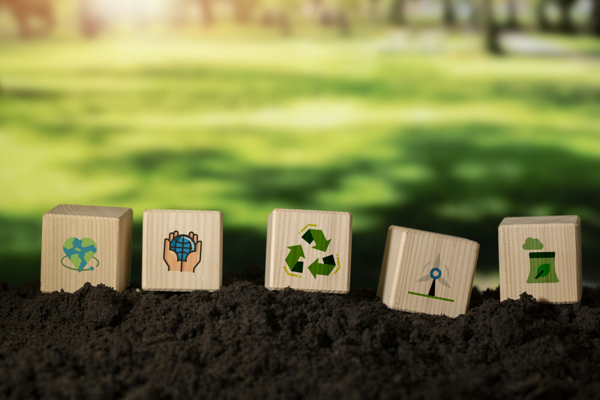 Cubes en bois disposés sur de la terre